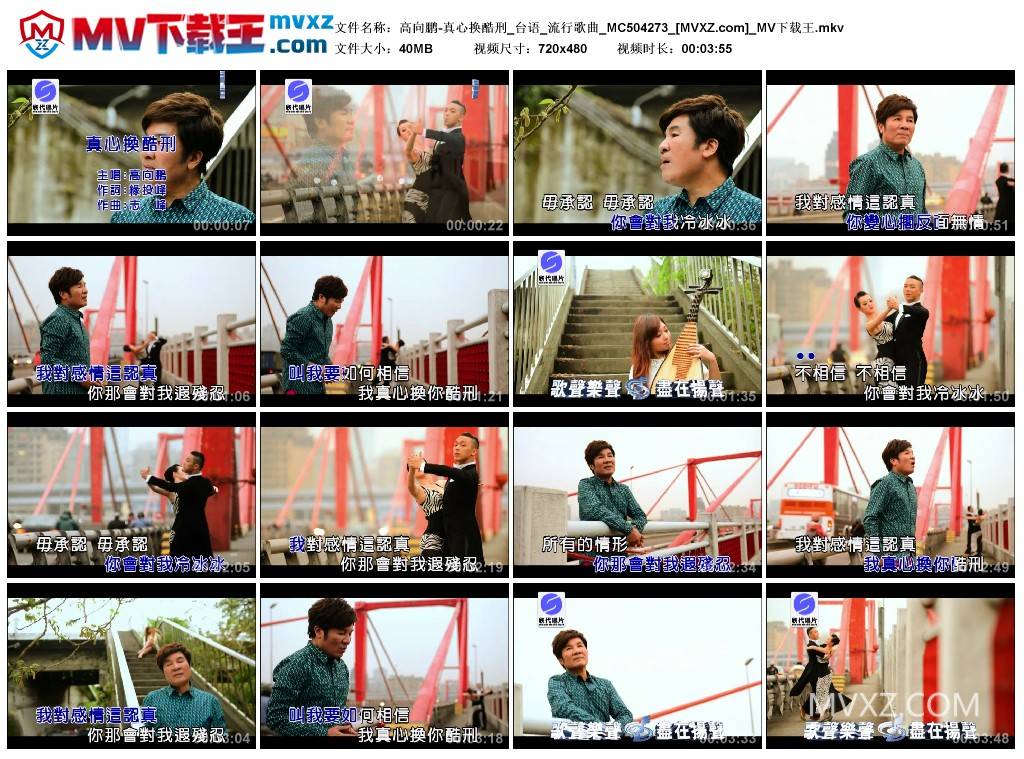 高向鹏-真心换酷刑_台语_流行歌曲_MC504273